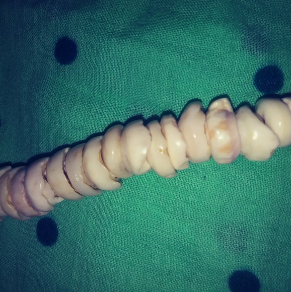 🐚Shell Necklace🐚 - Picture 2 of 4